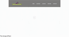 Desktop Screenshot of nakedgrapewinebar.com